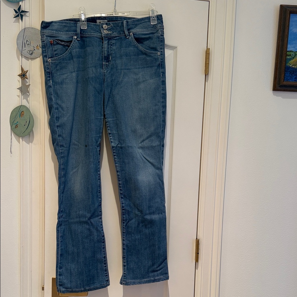 Hudson Jeans Women's Straight Leg in Classic Blue